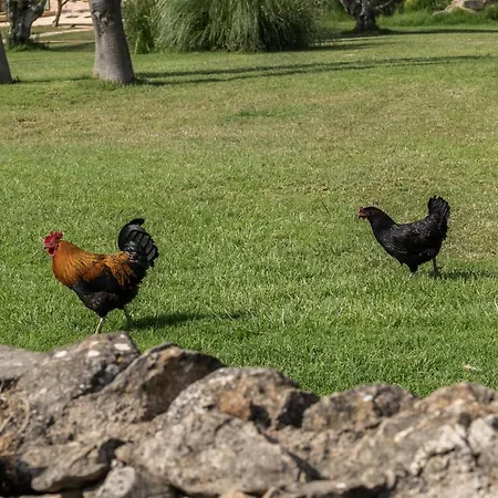 Sa Franquesa Nova 4* Vilafranca De Bonany
